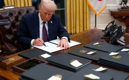 Trump’ın Vatandaşlık Kararnamesine İlk Engel Yargıdan: Geçici Olarak Durduruldu