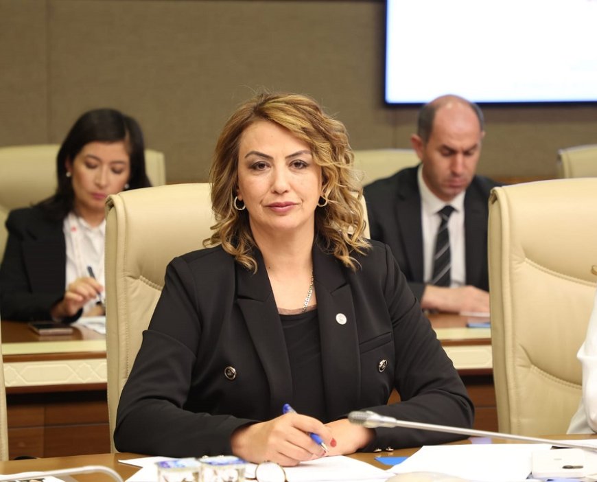 Yıldırım Kara’dan Hatay Eleştirisi: Enerji ve Ulaşım Sorunları Çözülmeli