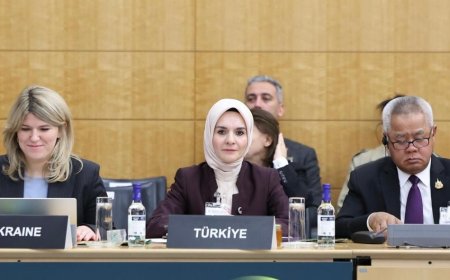 Mahinur Özdemir Göktaş OECD’de Aile Politikalarını Anlattı, Yusuf İnan’dan Sert Eleştiri