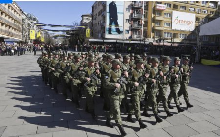 Kosova Ordusu Planına Küresel Tepkiler