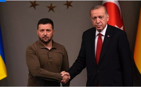 Ukrayna Devlet Başkanı Zelenskiy Türkiye’de: Gıda Güvenliği ve Esir Takası Gündemde