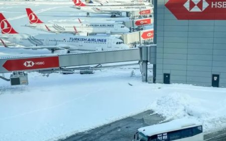 İstanbul’da Yoğun Kar Yağışı: Okullar Tatil Edildi, Uçuşlar İptal