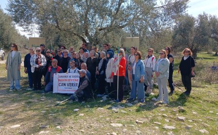 Kadınlar Zeytin Budama Kursuna Yoğun İlgi Gösterdi