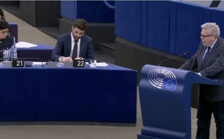 AP Raportörü Amor: AB üyeliği için askeri güç değil, demokrasi gerek