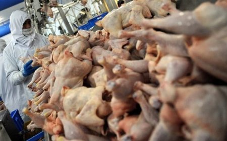 Şenpiliç’te Listeria Skandalı: Toplatılan Ürünler, Üzgün Açıklamalar