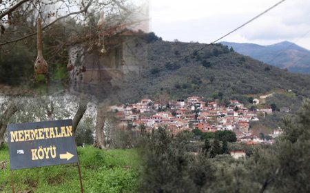 Kaz Dağları’nın Kalbinde Bir Çeşme: MehmetAlan Köyü'nde Akan Hikmet