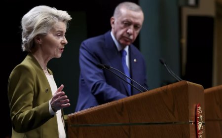 Sanchez Amor: Türkiye'nin AB Süreci OHAL Yasalarıyla Durduruldu