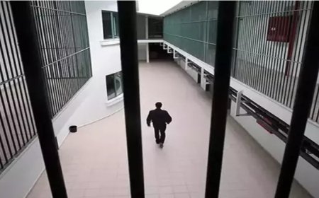 Örgüt Adına Suç İşleme Suçuna Yeni Düzenleme: Tahliyeler Yolda