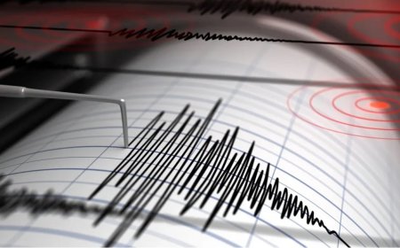 Balıkesir'de Geceyi Sallayan Deprem Korkuttu
