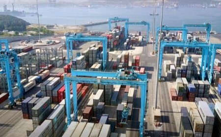 Petkim Limanı Satışı Tartışılıyor: 11 Yılda 673 Milyon Dolar Nasıl Buharlaştı?