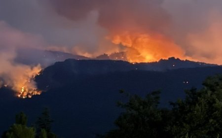 Eskişehir’de Orman Yangını Faciası: 10 Şehit
