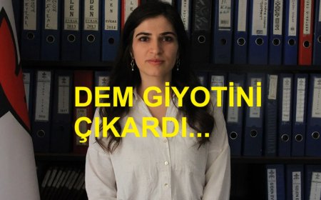 Silopi Belediye Başkanı Jiyan Ormanlı DEM Parti'den İhraç Edildi