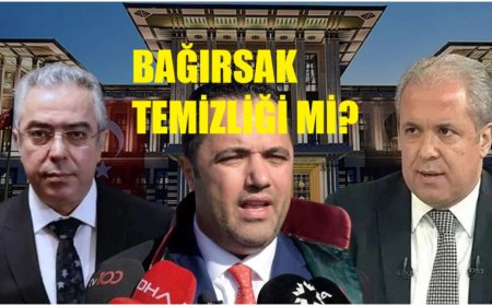 Akif Beki’den Yargıdaki Gözaltılara Eleştiri: Bağırsak Temizliği mi, Göz Boyama mı?