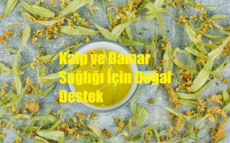 Ihlamurun Şifalı Gücü: Kalp ve Damar Sağlığı İçin Doğal Destek