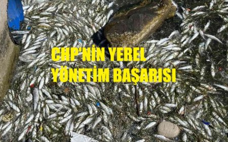 İzmir Körfezi’nde balık ölümleri yeniden gündemde: CHP’li yerel yönetime sert eleştiriler