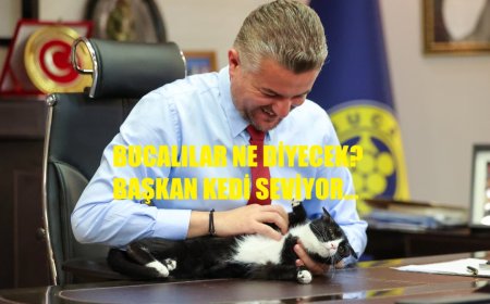 Kedili Paylaşım Ters Tepki Yarattı: Buca’da “Sevgi” Mesajı, Çöp ve Maaş Krizi Gölgesinde