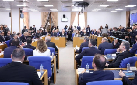 TBMM'de  Kürt İlleri Tartışması: AKP'li Muş'tan DEM Partili Vekile Anayasa Uyarısı