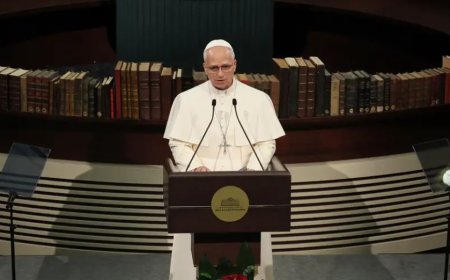 Papa 14. Leo ve Erdoğan Ankara'da buluştu: Barış ve iş birliği mesajı