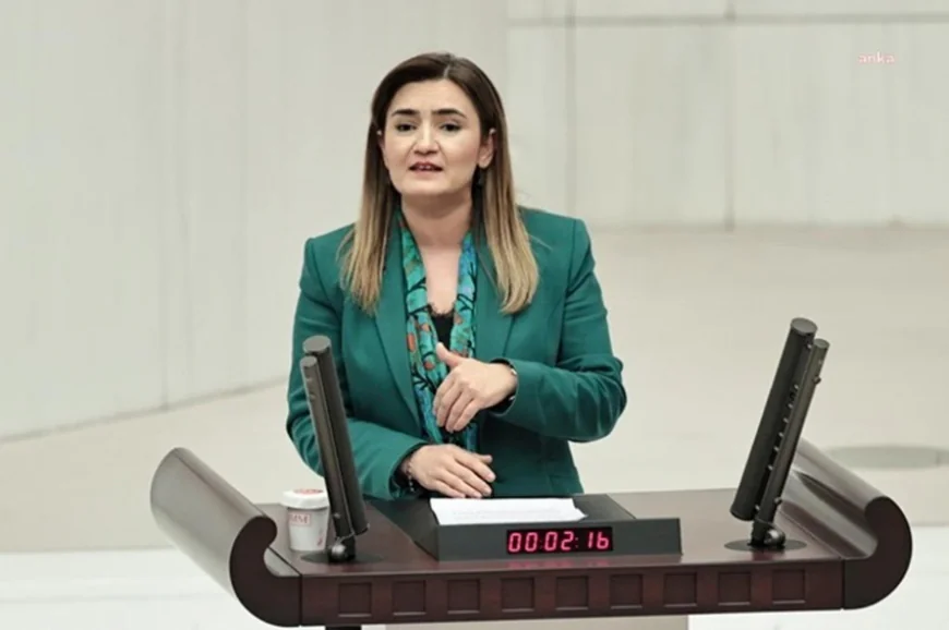Sevda Erdan Kılıç: Çiftçi batıyor, devlet ithalattan kâr ediyor