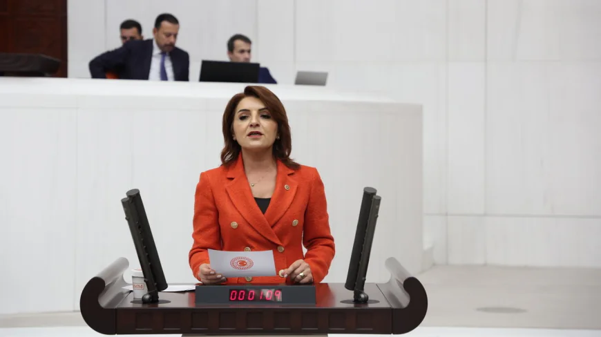 Gülcan Kış: Hazine borcu 13,7 trilyona çıktı, maliye kilitlendi