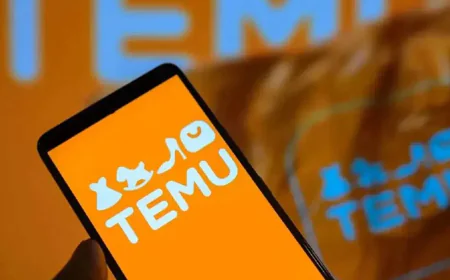Temu şikayetleri patladı: Gümrük çilesi, yerel depo dayatması ve iade sorunları