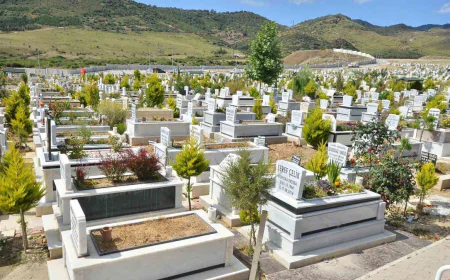 İzmir'de yeni mezarlık planı: 487 bin metrekare alan açılıyor