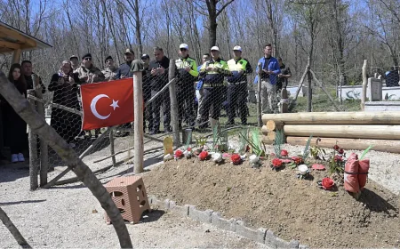 Şehit polis Emre Albayrak için hatıra ormanı oluşturuldu