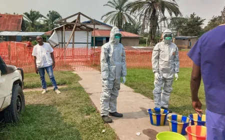DSÖ Ebola salgını için küresel acil durum ilan etti