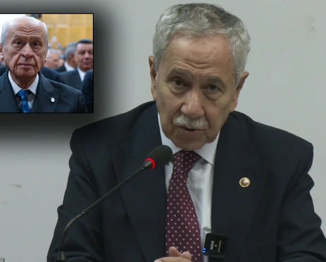 Arınç’tan KHK çıkışı: Önce mağduriyetler giderilsin