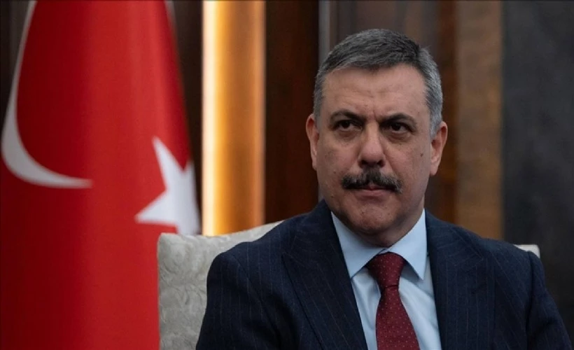 Bakan Çiftçi: Sokak köpekleri yıl sonuna kadar barınaklara alınacak