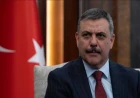 Bakan Çiftçi: Sokak köpekleri yıl sonuna kadar barınaklara alınacak
