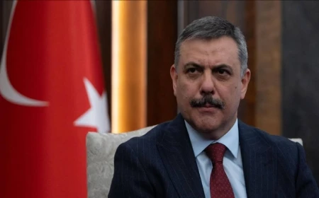 Bakan Çiftçi: Sokak köpekleri yıl sonuna kadar barınaklara alınacak