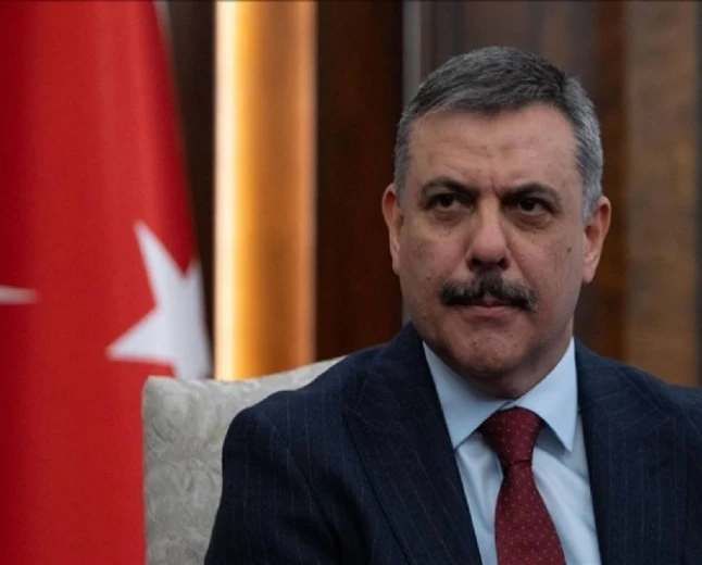 Bakan Çiftçi: Sokak köpekleri yıl sonuna kadar barınaklara alınacak