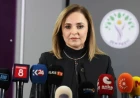 DEM Parti'den çerçeve yasa çağrısı: Meclis tatilinden önce çıkarılmalı