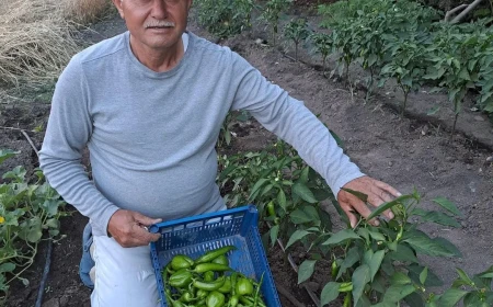 Gemi kaptanı Uğur Yılmaz 57 yaşında Amasya’da hayatını kaybetti