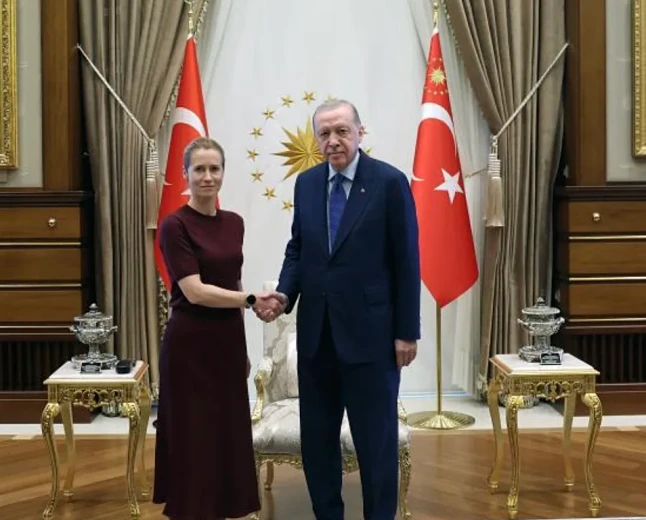 Erdoğan, NATO zirvesi öncesi AB heyetini Ankara’da kabul etti