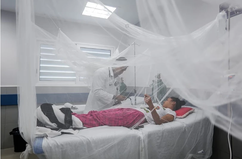 Dengue fever: Symptoms, treatment and ways to prevent mosquito infection