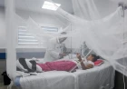 Dengue fever: Symptoms, treatment and ways to prevent mosquito infection