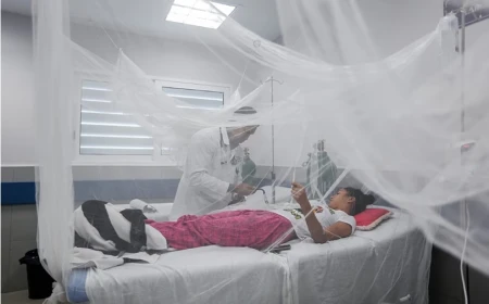 Dengue fever: Symptoms, treatment and ways to prevent mosquito infection