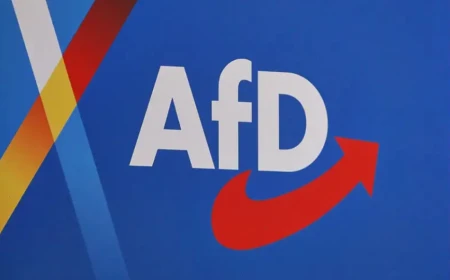 Almanya’da bini aşkın hukukçudan hükümete AfD’yi yasaklama çağrısı