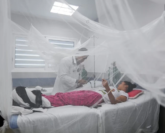 Dengue fever: Symptoms, treatment and ways to prevent mosquito infection