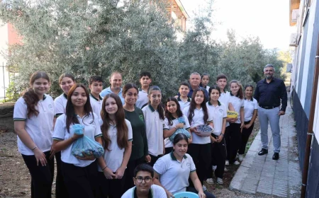  Kozan’da 1. sınıfta diktikleri zeytinleri 8. sınıfta hasat ettiler
