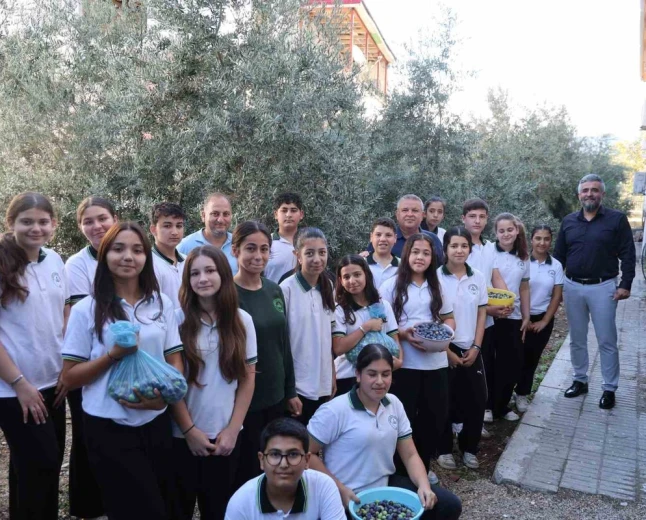  Kozan’da 1. sınıfta diktikleri zeytinleri 8. sınıfta hasat ettiler